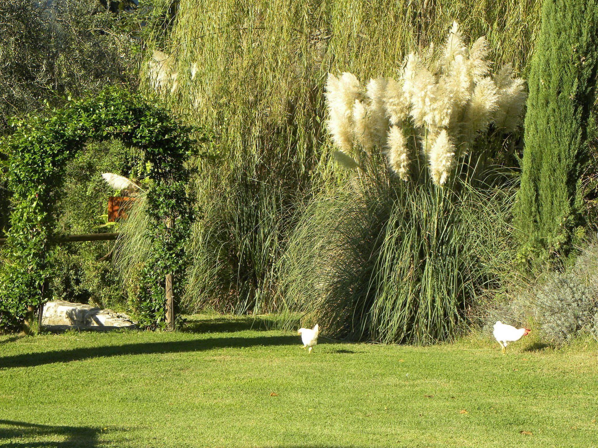 Country Resort Il Frassine Rignano sullʼArno Exterior foto